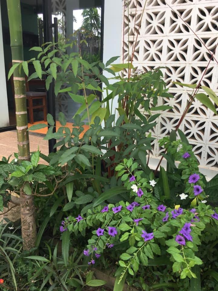 Villa D'Orange Siem Reap Exteriör bild